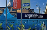 Heal the Bay, Santa Monica Pier Aquarium